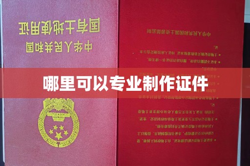 定海哪里可以专业制作证件