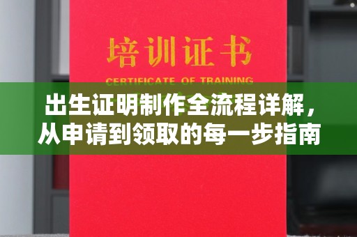 定海出生证明制作全流程详解，从申请到领取的每一步指南