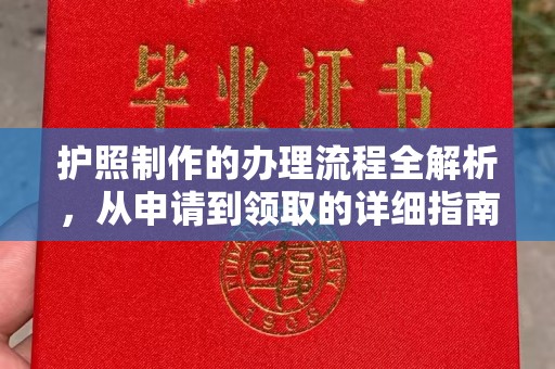 定海护照制作的办理流程全解析，从申请到领取的详细指南