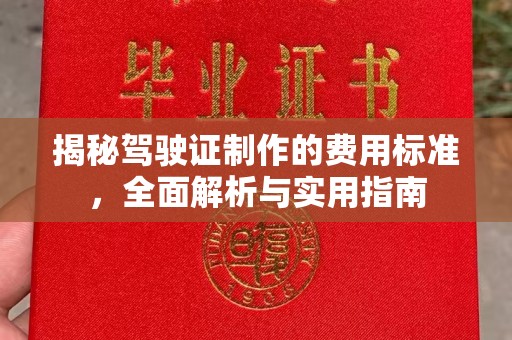 定海揭秘驾驶证制作的费用标准，全面解析与实用指南