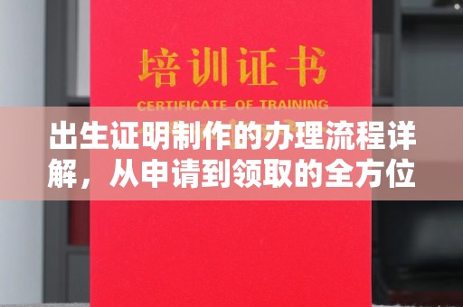 定海出生证明制作的办理流程详解，从申请到领取的全方位指南